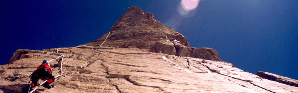top_nav1_960x300